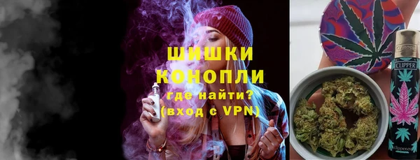 ешки Бронницы