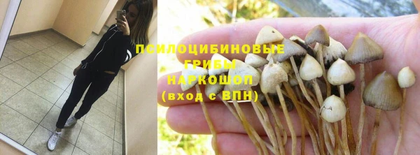 индика Бородино