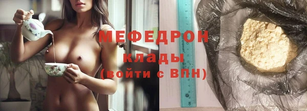 индика Бородино