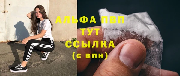 индика Бородино