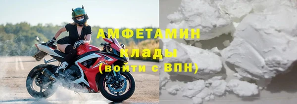 индика Бородино