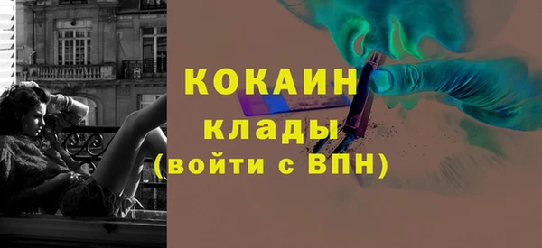 ешки Бронницы