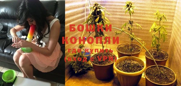 стафф Верея