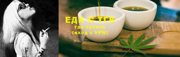 индика Бородино