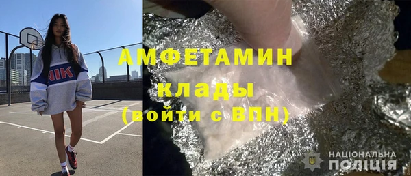 индика Бородино