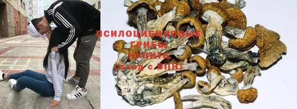 ешки Бронницы
