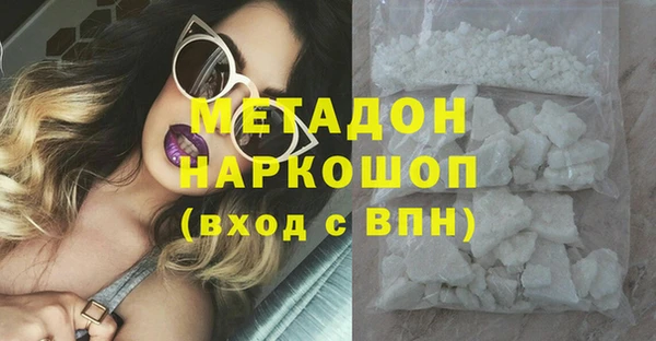 индика Бородино