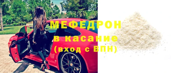 индика Бородино