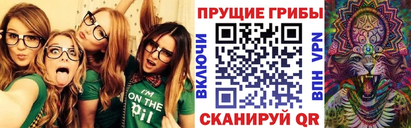 Псилоцибиновые грибы мухоморы  Владикавказ 